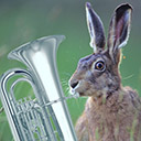symphonies lagomorphes