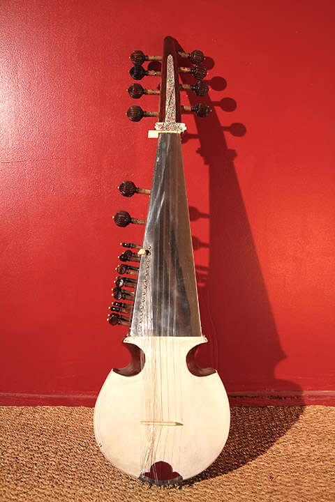 sarod