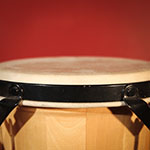 Bongos
