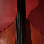 Contrebasse
