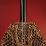 Erhu
