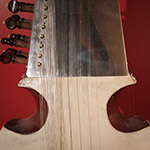 Sarod
